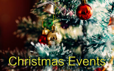 Christmas Diary